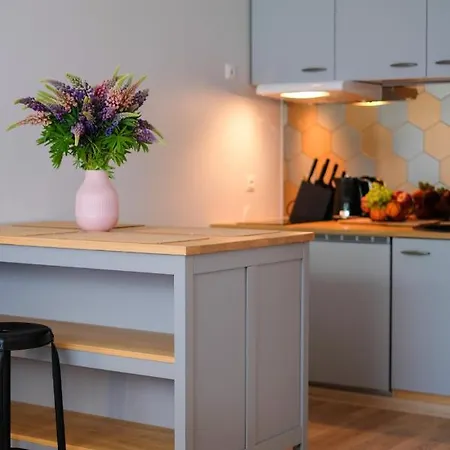 Ohtu Poik 2 Center Basement *