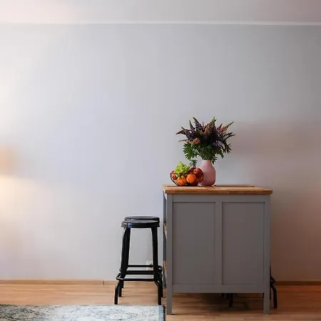 Apartman Ohtu Poik 2 City Center Basement Apartment *
