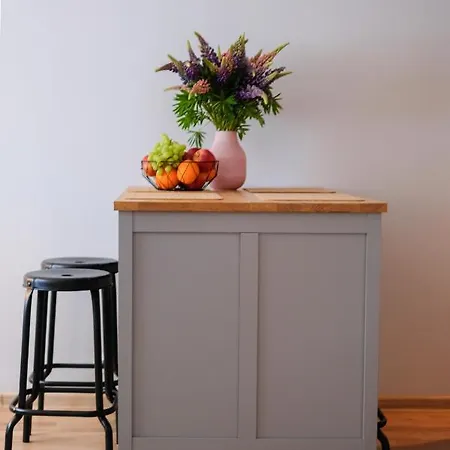 Ohtu Poik 2 Center Basement アパート *