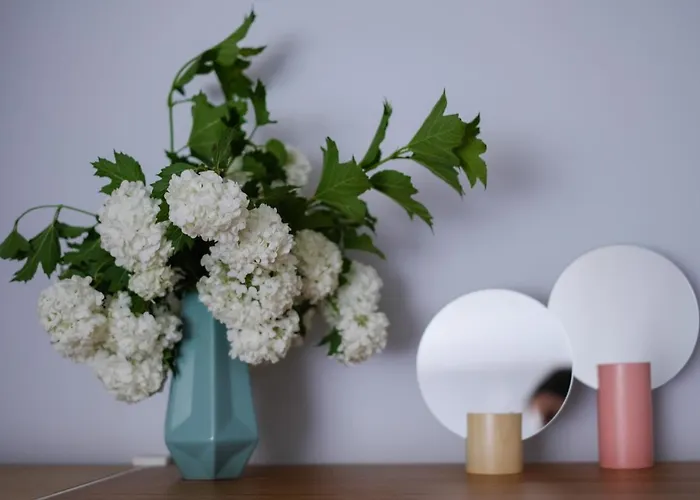 Ohtu Poik 2 Center Basement Appartement