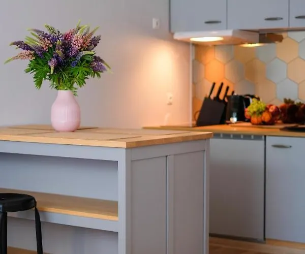 Ohtu Poik 2 Center Basement *