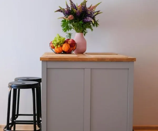 Ohtu Poik 2 Center Basement Appartement *